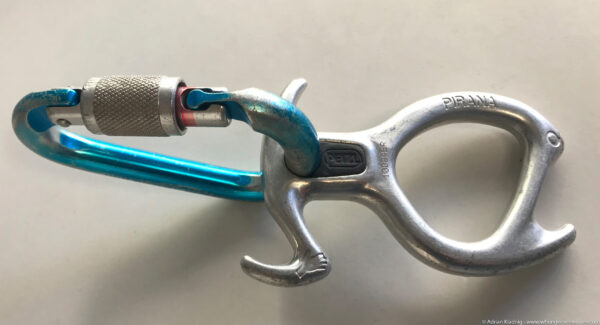 [pirana attachment]